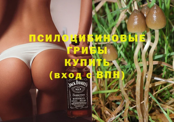2c-b Белоозёрский