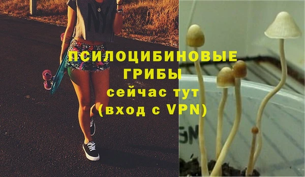 2c-b Белоозёрский