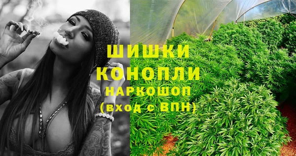 Альфа ПВП Белокуриха