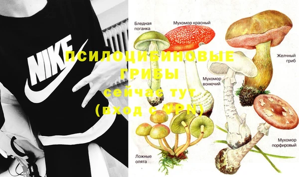 2c-b Белоозёрский