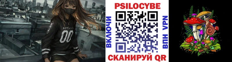Псилоцибиновые грибы мицелий  blacksprut ТОР  Кстово 